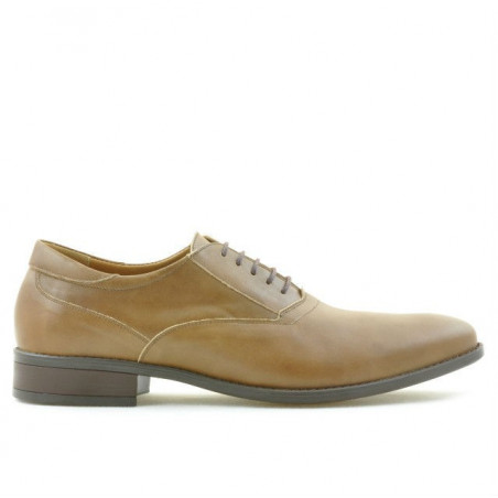 Men stylish, elegant shoes 804 brown