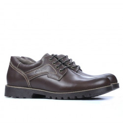 Men stylish, elegant, casual shoes 805 brown