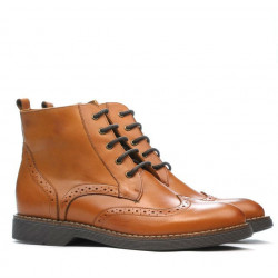 Men boots 483-1 antic