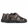 Men sandals 344 tuxon tdm (Testa di moro)