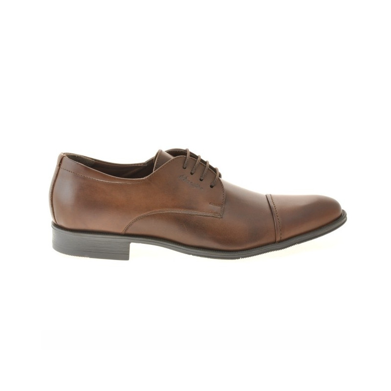 Men stylish, elegant shoes 785 brown