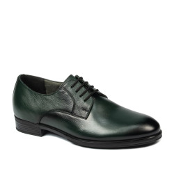 Men stylish, elegant shoes 958 a green
