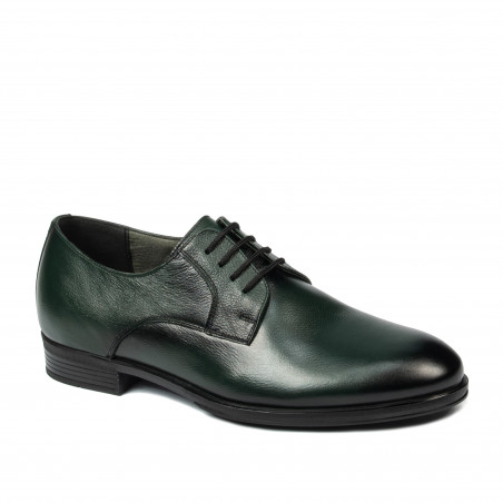 Men stylish, elegant shoes 958 a green