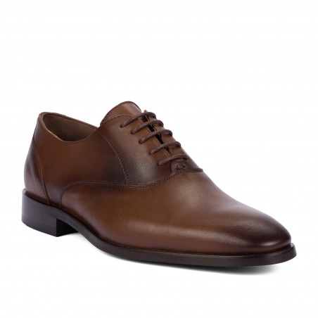 Men stylish, elegant shoes 9007 a brown